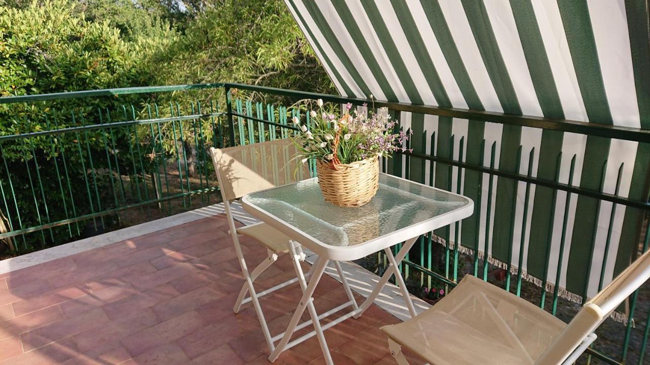 Il Gelso Guest House Trivigno Ngoại thất bức ảnh